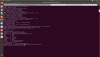 terminal_screenshot.png