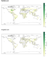 global_corn_yield.png